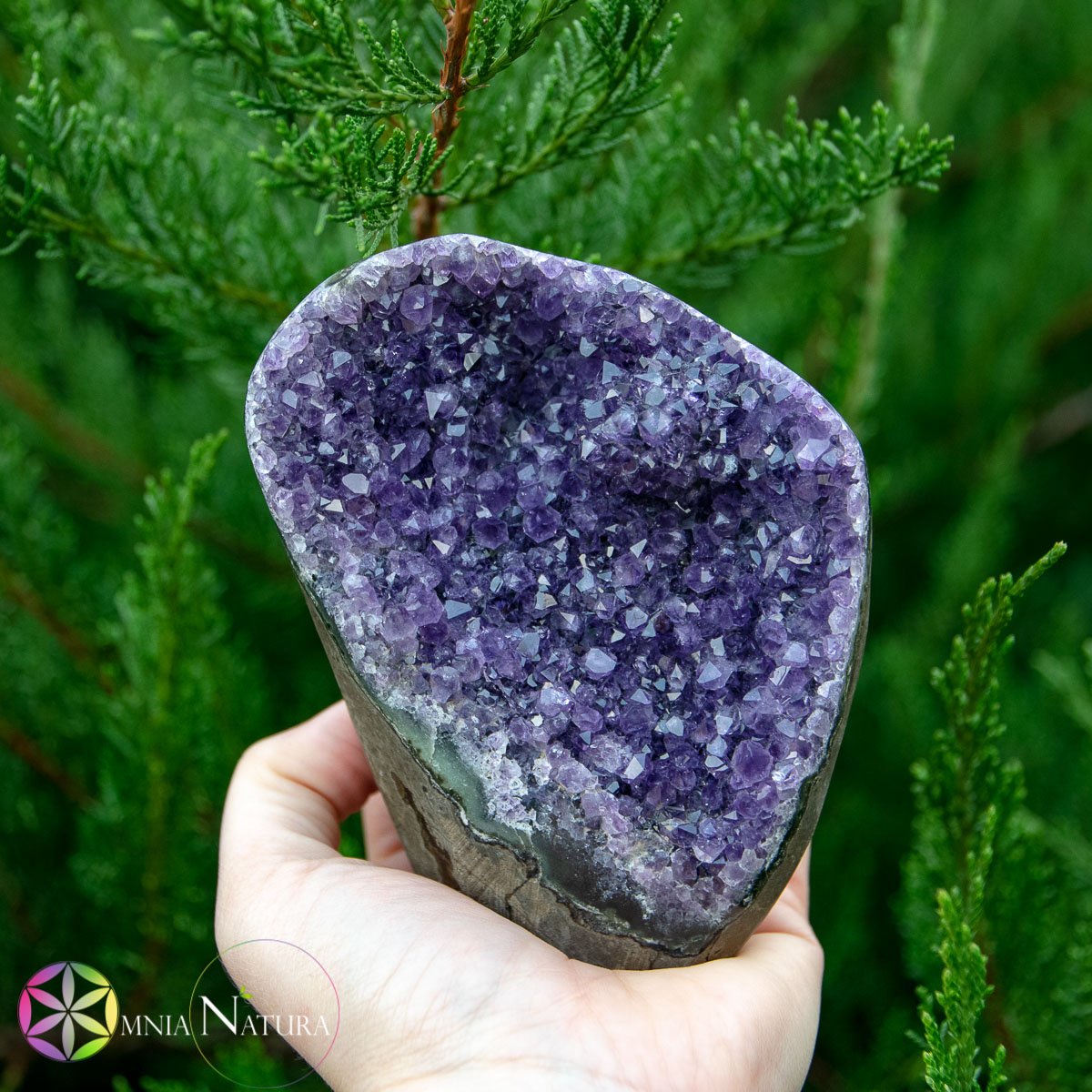 Drusa Ametista in piedi