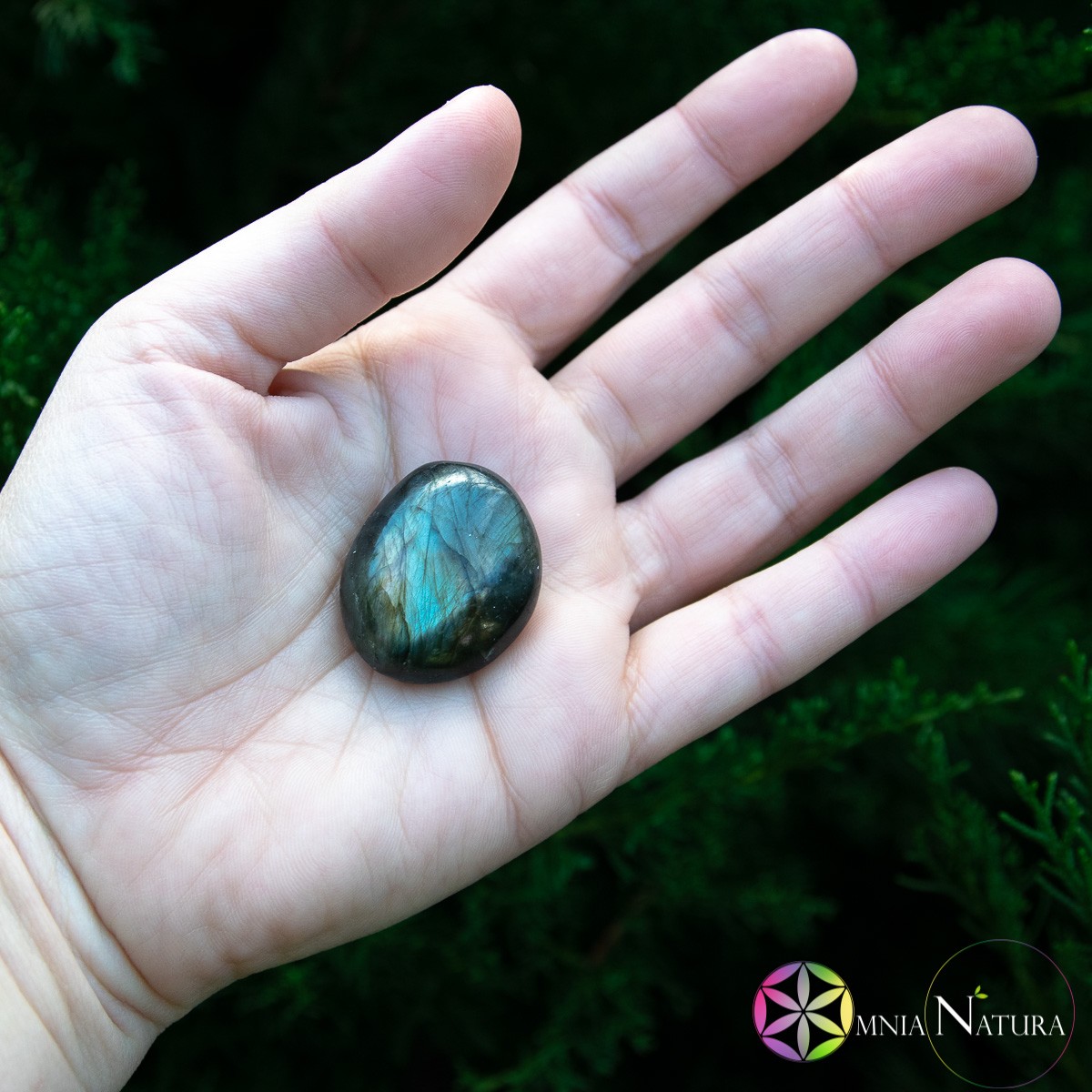 Lens Labradorite