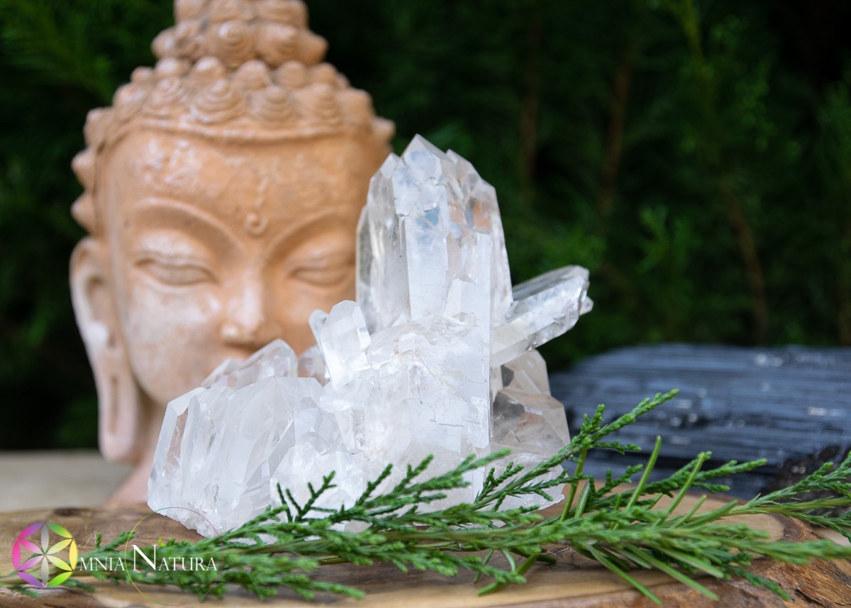 Testa di Buddha con drusa di quarzo su base di legno