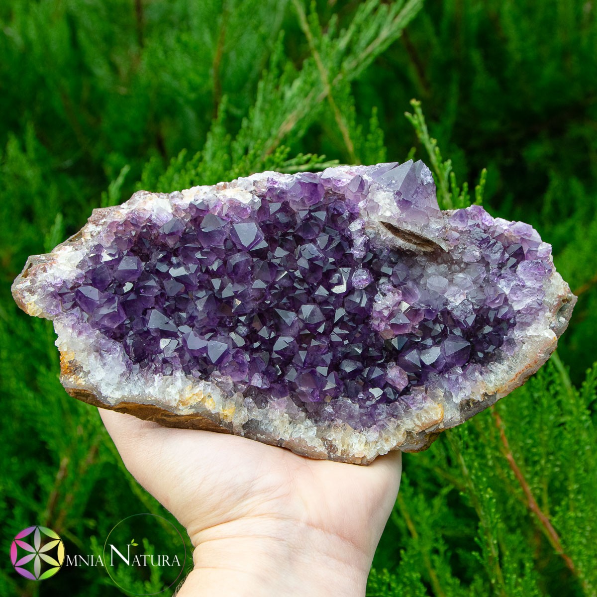 Drusa Ametista piatta