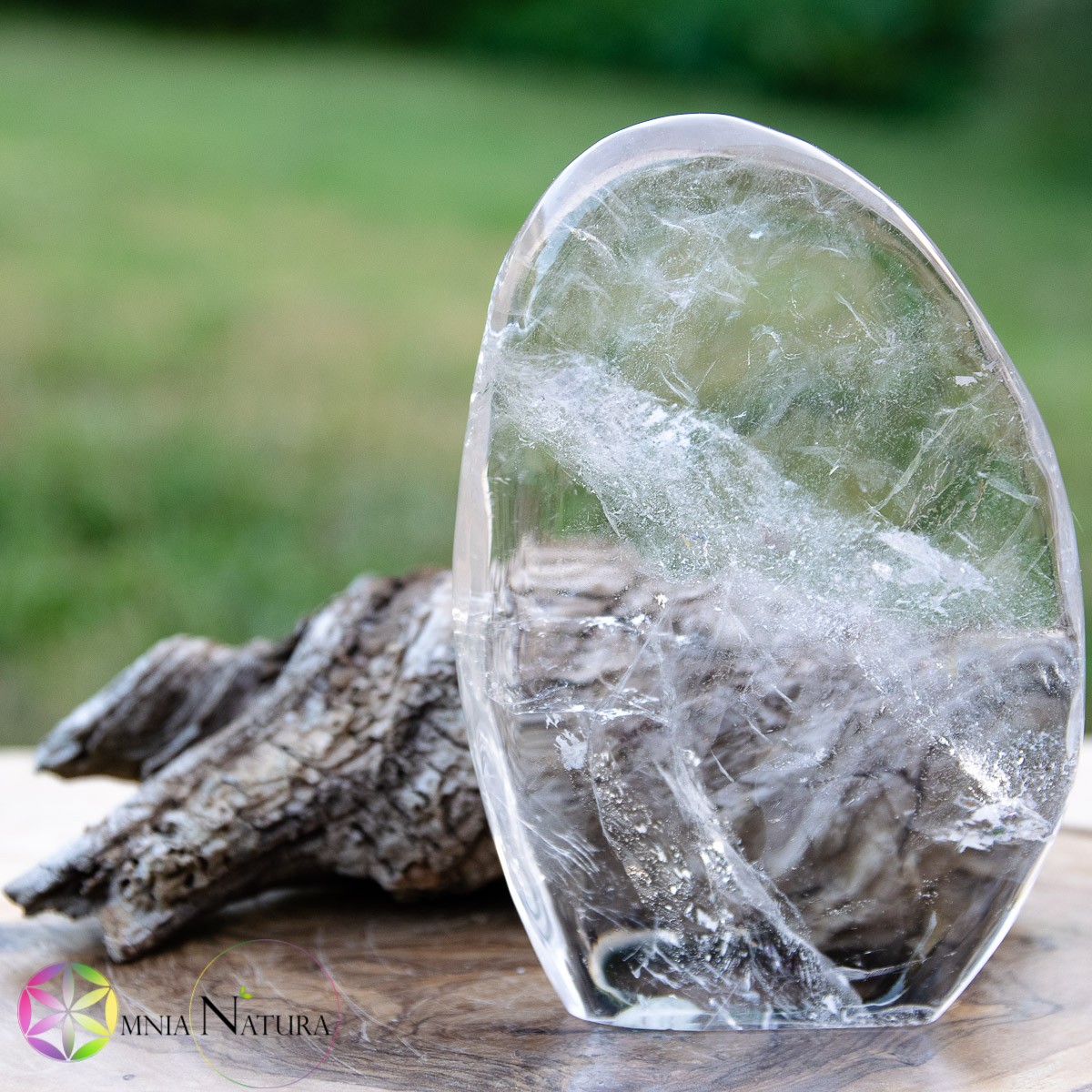 Forma libera Quarzo ialino Trasparente