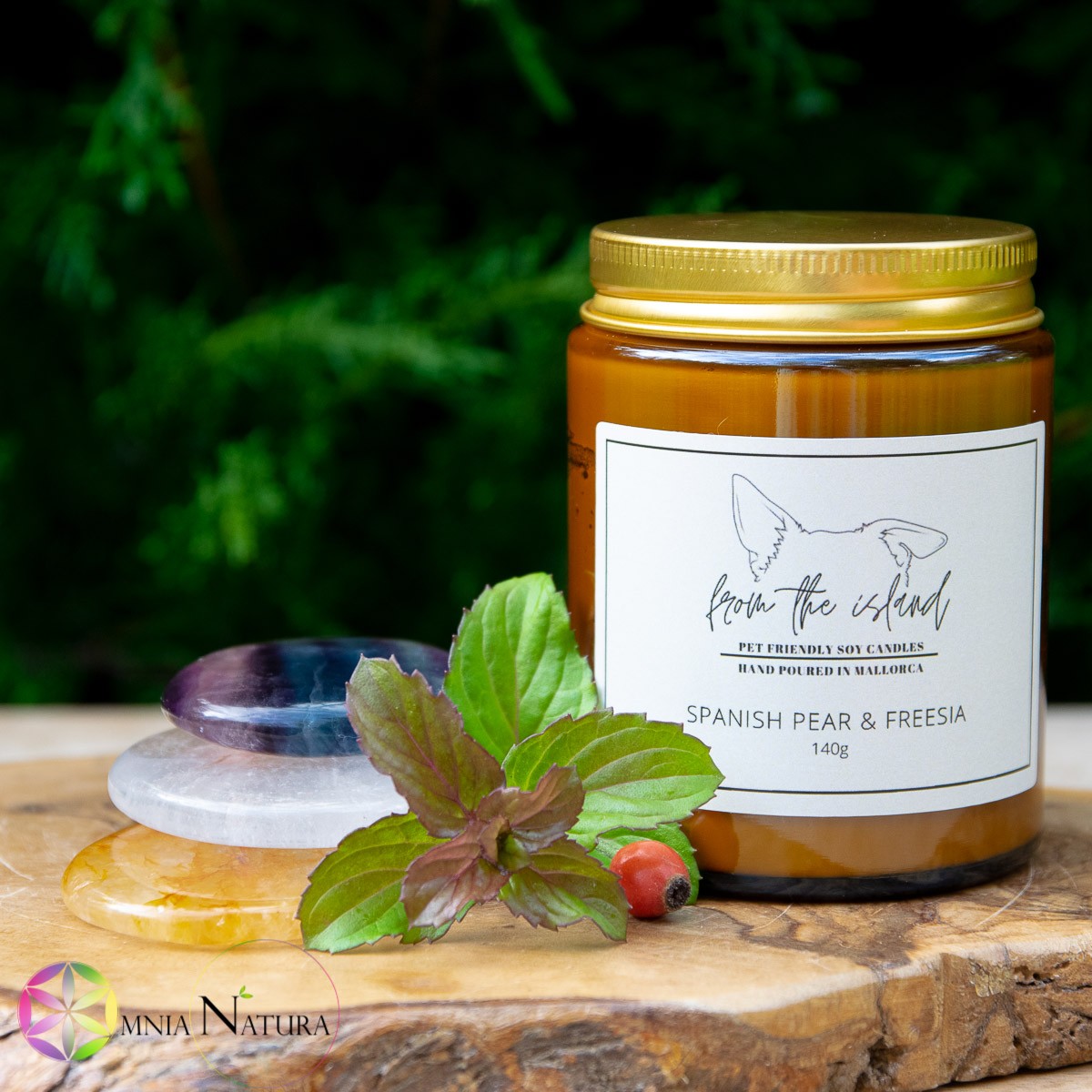 Questa deliziosa candela in cera di soia pet friendly è presentata in un giardino verde. Il vasetto di vetro brunito in cui è colata la candela naturale è appoggiato su un supporto di legno d'ulivo toscano naturale. Accanto al vasetto, chiuso con tappo a vite metallico dorato e con targhetta bianca con logo del cane Biscuit mascotte dell'Azienda FROM THE ISLAND, ci sono delle erbe e delle pietre vere burattate. Le pietre sono Dischetto di quarzo ematoide giallo, pietra piatta di quarzo ialino e pietra piatta di fluorite arcobaleno. Le erbe menta fresca e bacche di rosa.