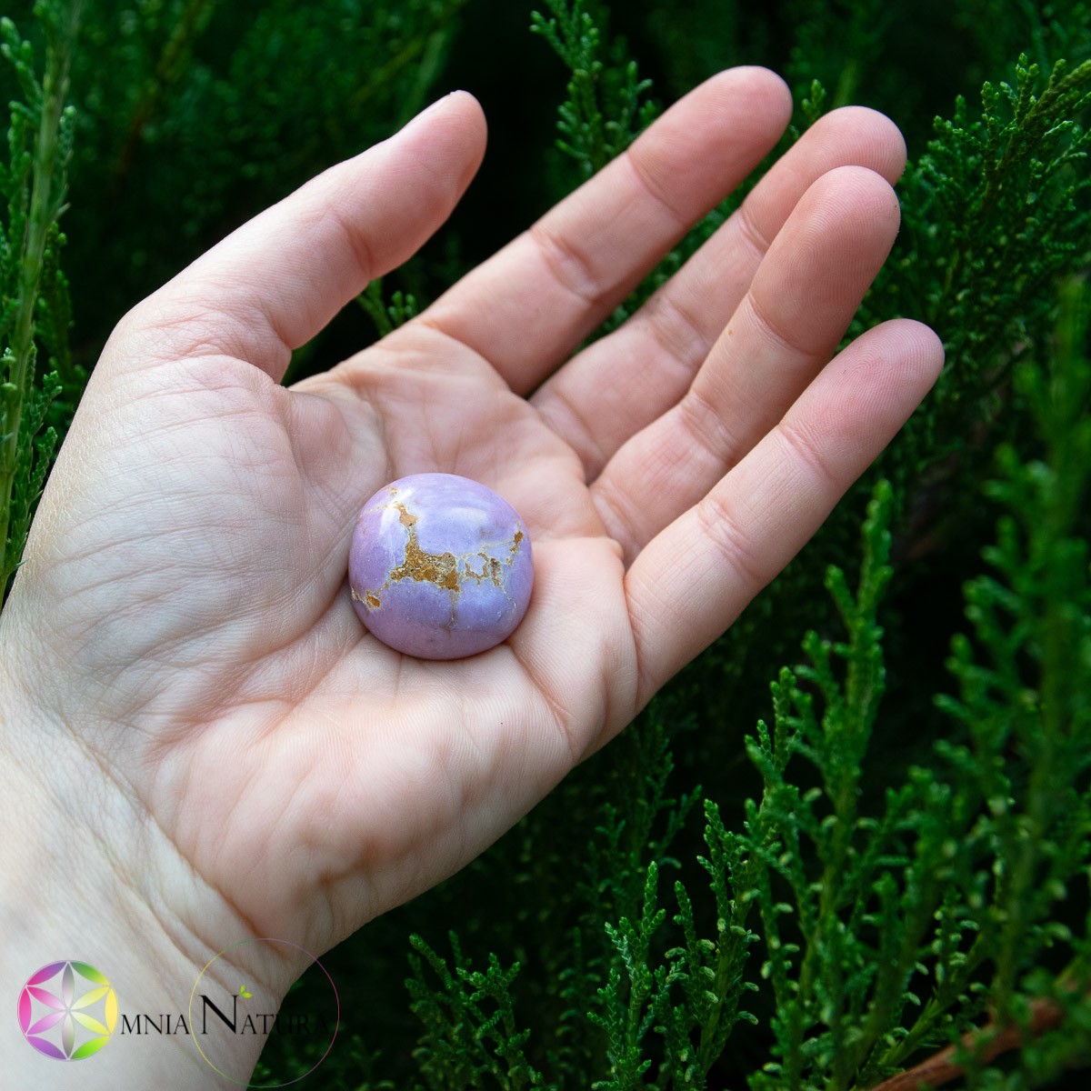 Burattato Classico - Fosfosiderite