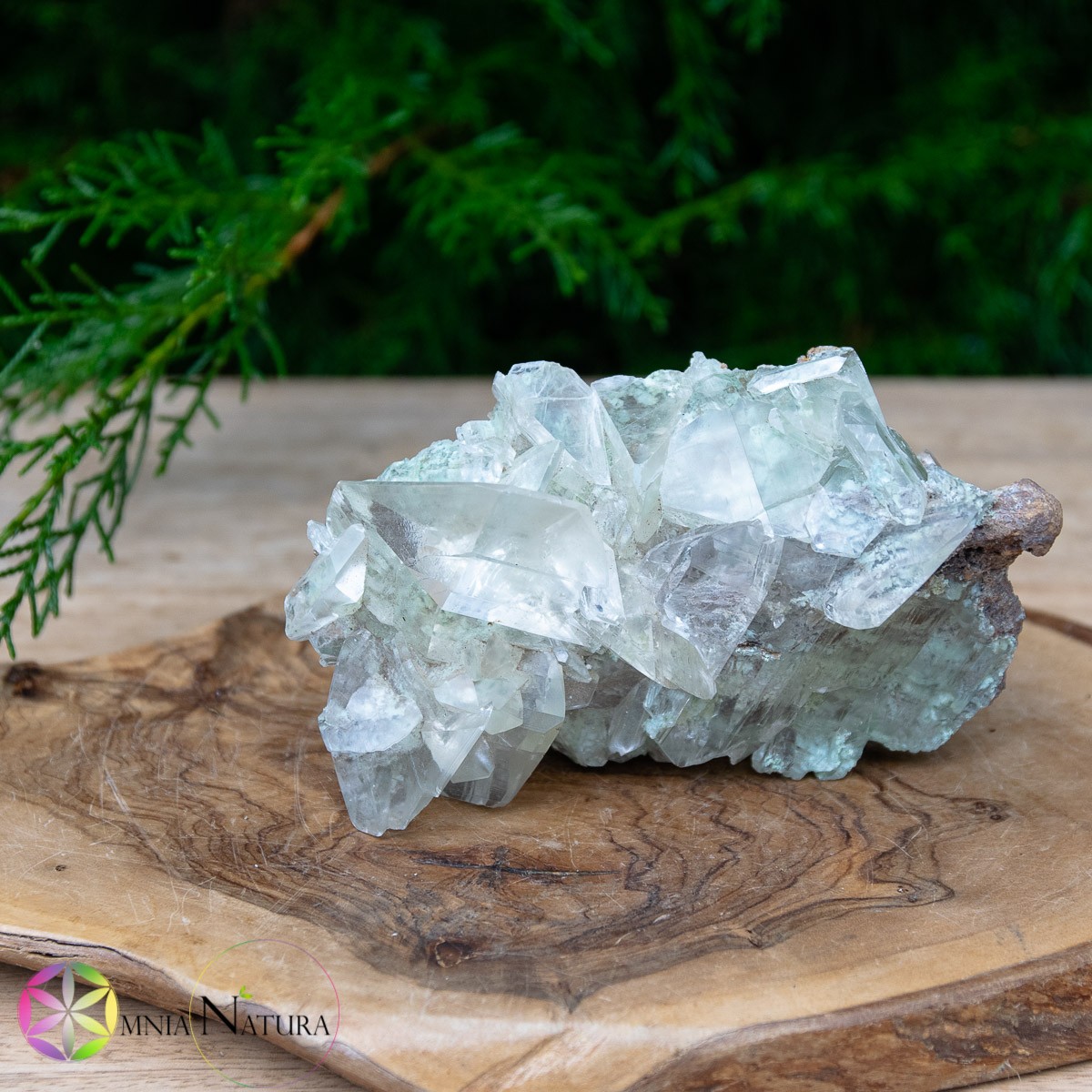 Calcite Trasparente - Cina