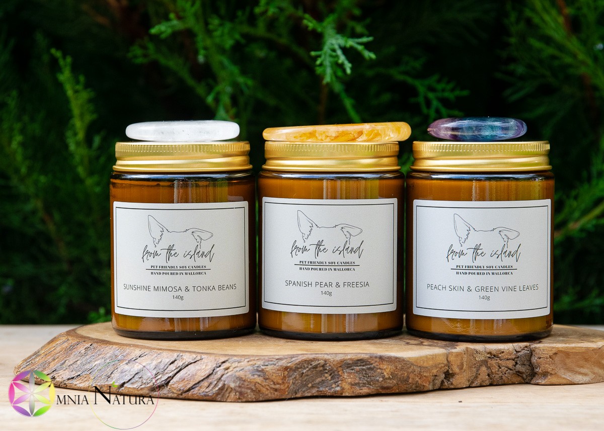 From The Island-Pet-Friendly candele naturali 100% soia “From the island” Nella foto ci sono alcune candele naturali prodotte da FROM THE ISLAND. Sono presentate allineate su un supporto di legno e hanno come sfondo delle piante verdi. Sono versate in vasetti di vetro brunito e hanno tappi di metallo dorato e etichette bianche con sopra il logo di FROM THE ISLAND e il nome delle varie fragranze. Il logo è rappresentato dalle orecchie del cane Biscuit che era dei proprietari e che li ha ispirati nella ideazione di queste candele. Sopra i tappi di metallo per decorazione tre pietre burattate distinte: Pietra piatta di fluorite arcobaleno, pietra piatta di quarzo ialino e palmstone/Dischetto di quarzo ematoide giallo.