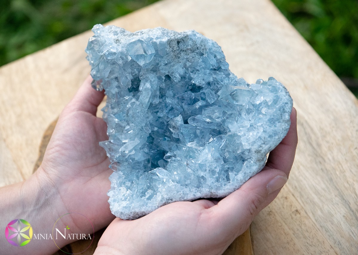 Celestina a forma di cuore tenuta tra le mani