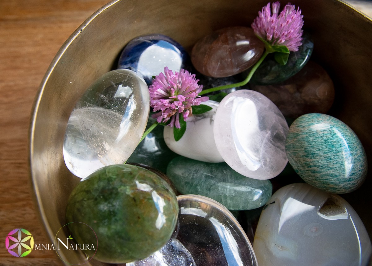 Ciotola di pietre levigate multicolore con fiore rosa