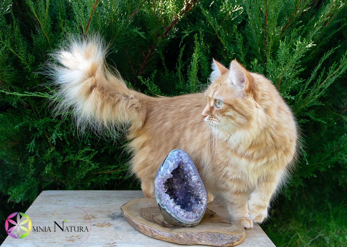 Home Bellezza Natura Minerali