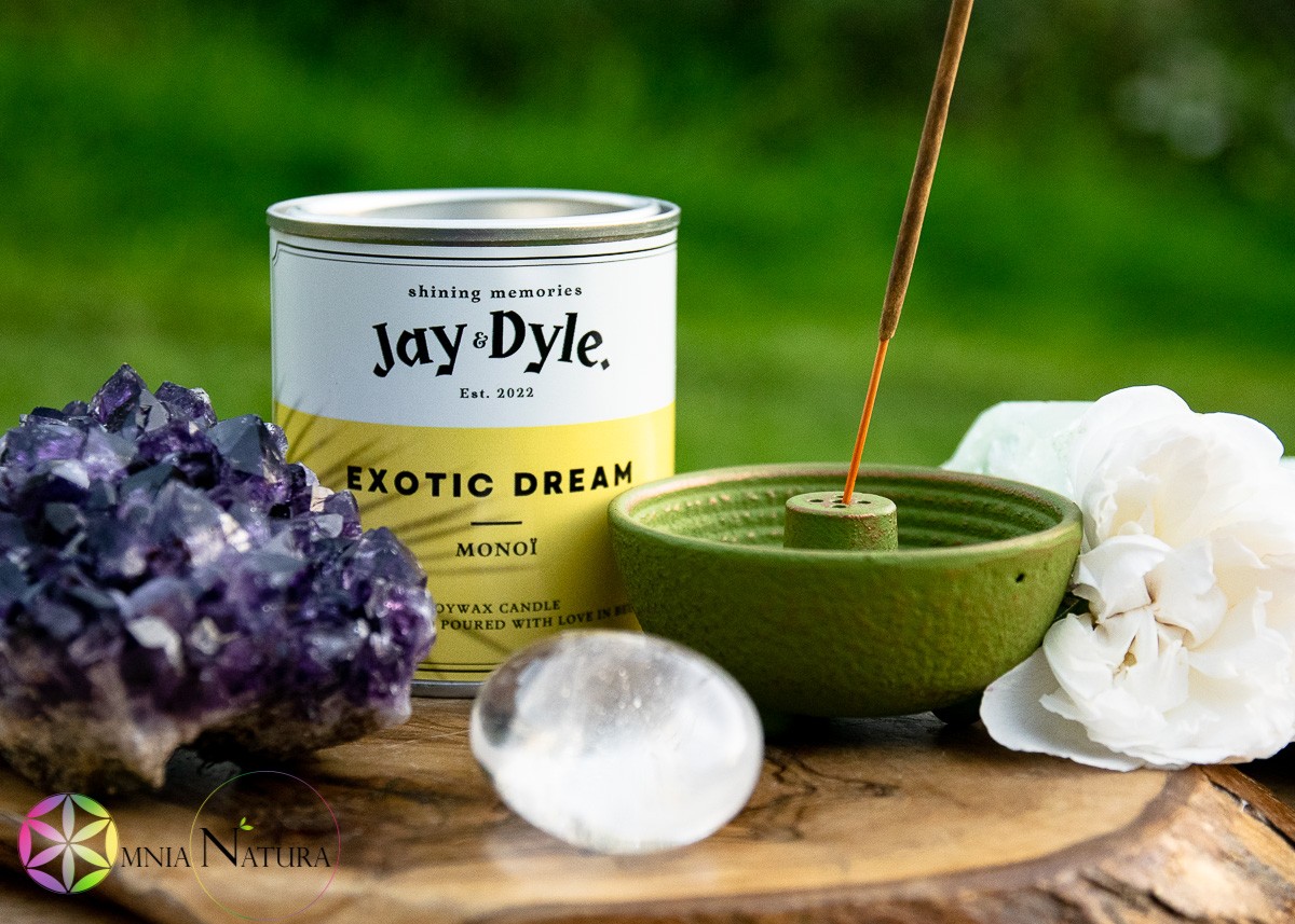 Jay And Dyle-Exotic Dream-Monoi Candela naturale al Monoi di soia 100%, colata a mano in contenitori di metallo con etichetta bianca e gialla su fetta di legno naturale d'ulivo con accanto bellissima drusa di ametista a riccio con davanti un quarzo ialino burattato pebble e a destra un portaincenso delizioso in ghisa verde e oro, in stile orientale e con bastoncino di incenso naturale. Il tutto è incorniciato da una rosa bianca, e il verde della natura reale.