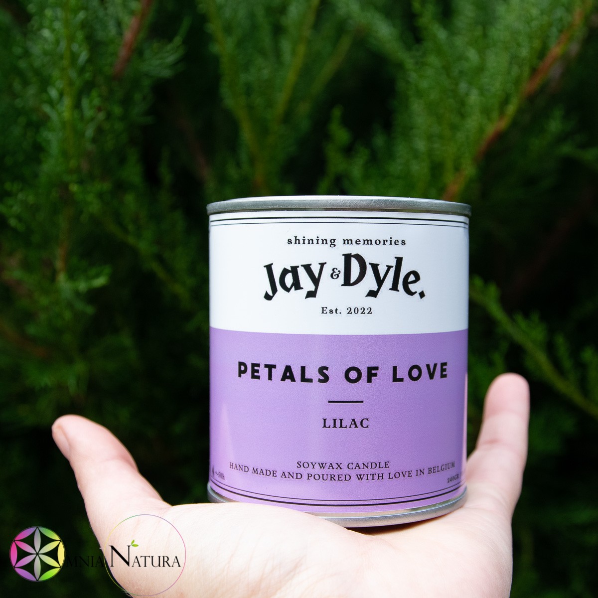 Jay And Dyle-Petals of Love-Lilac