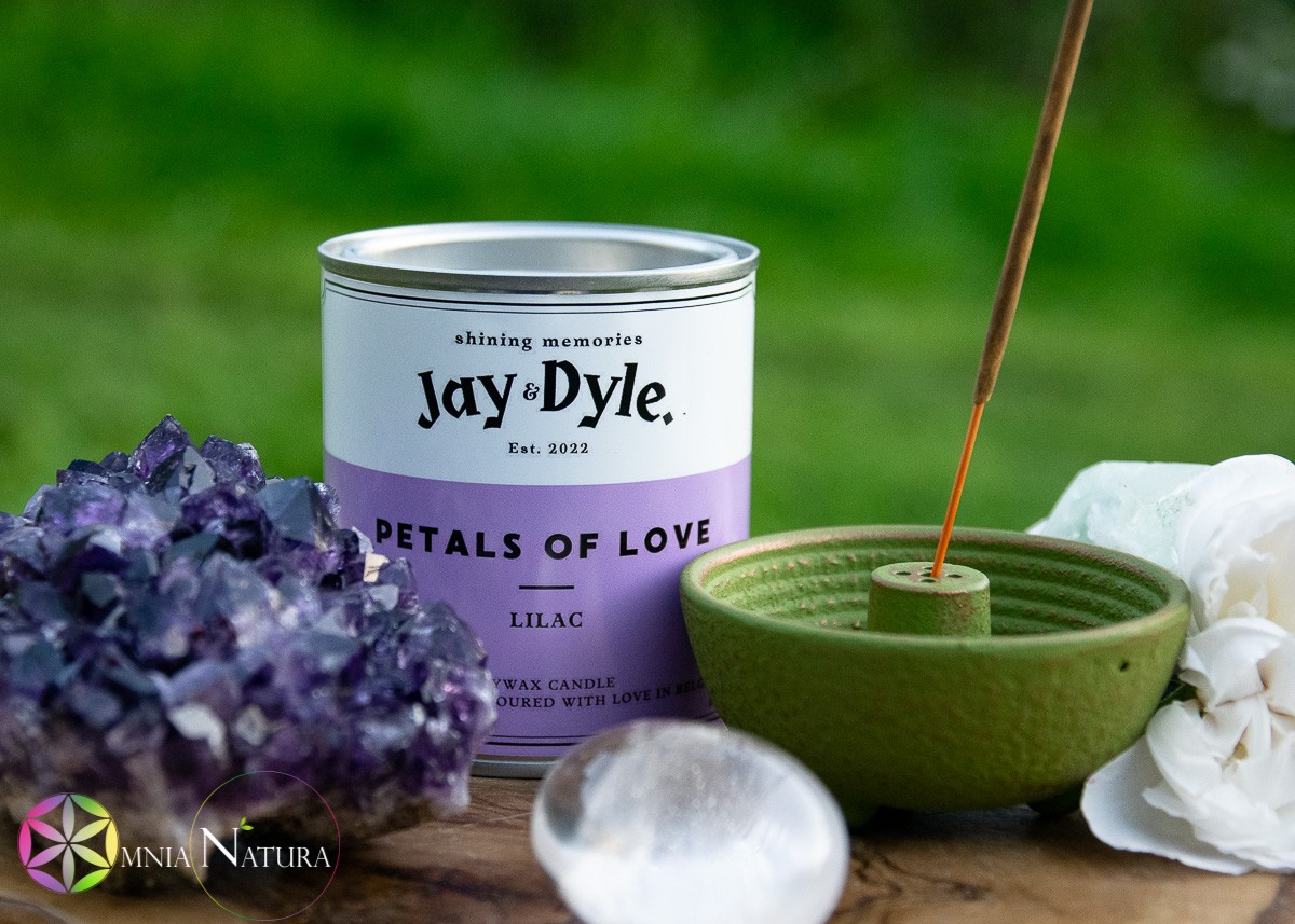 Jay And Dyle-Petals Of Love-Lilac