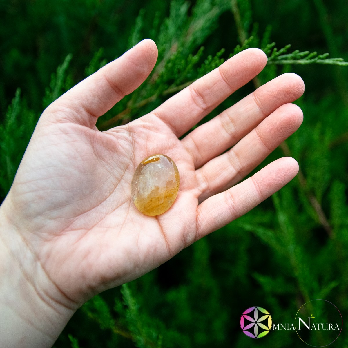 Burattato Lens - Quarzo Ematoide Giallo