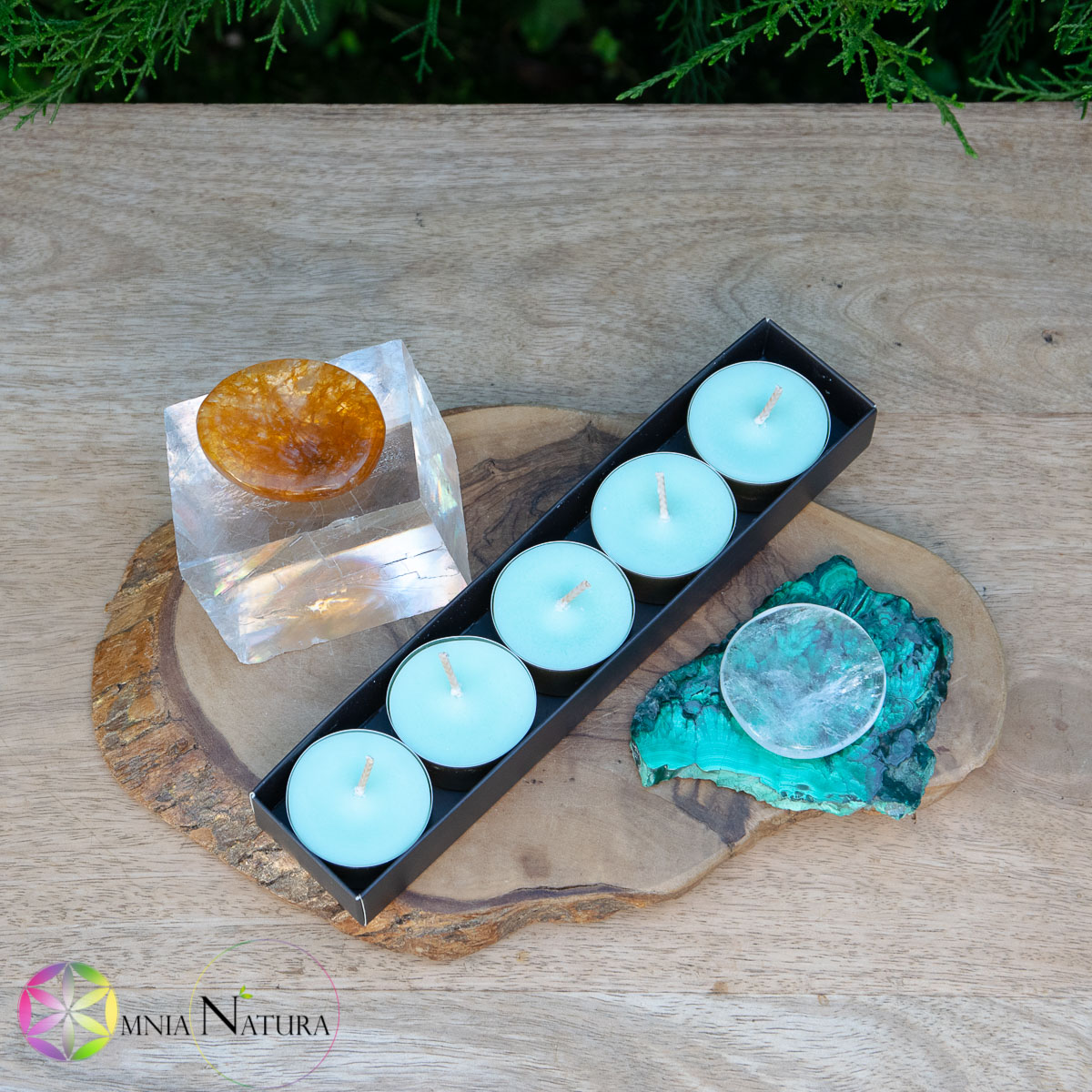 Candele tealight in cera di Soia - Green Forest