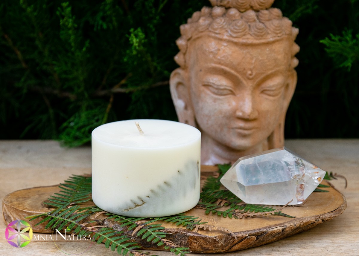 TL Canldles LemonGrass Grande-1