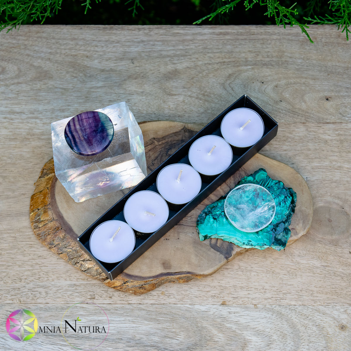 Candele tealight in cera di Soia - Lavanda