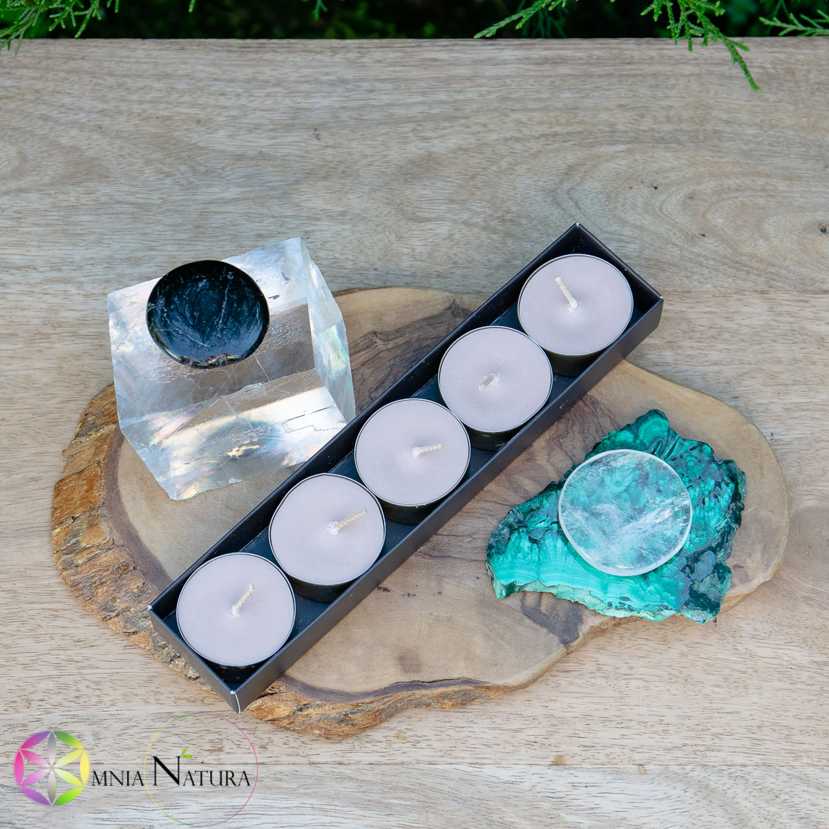 Candele tealight in cera di Soia - Tiglio e Miele