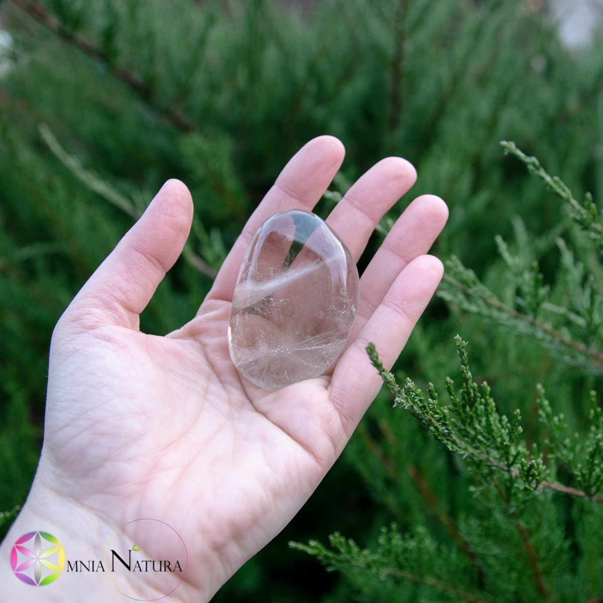 Palmstone Quarzo Fumé