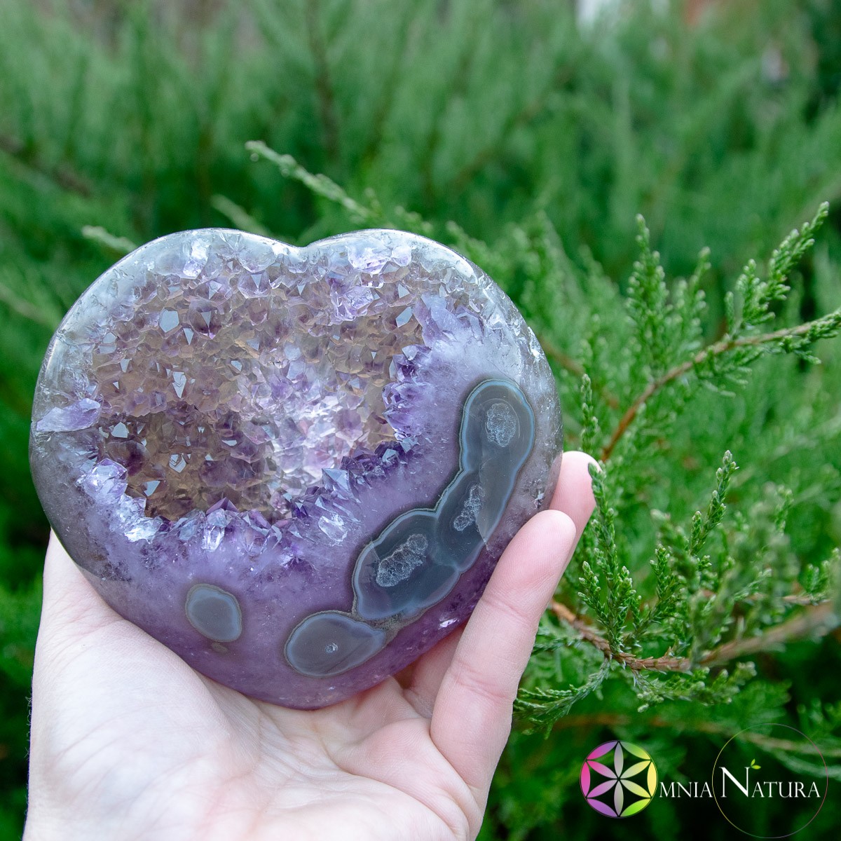 Cuore Ametista Trasparente